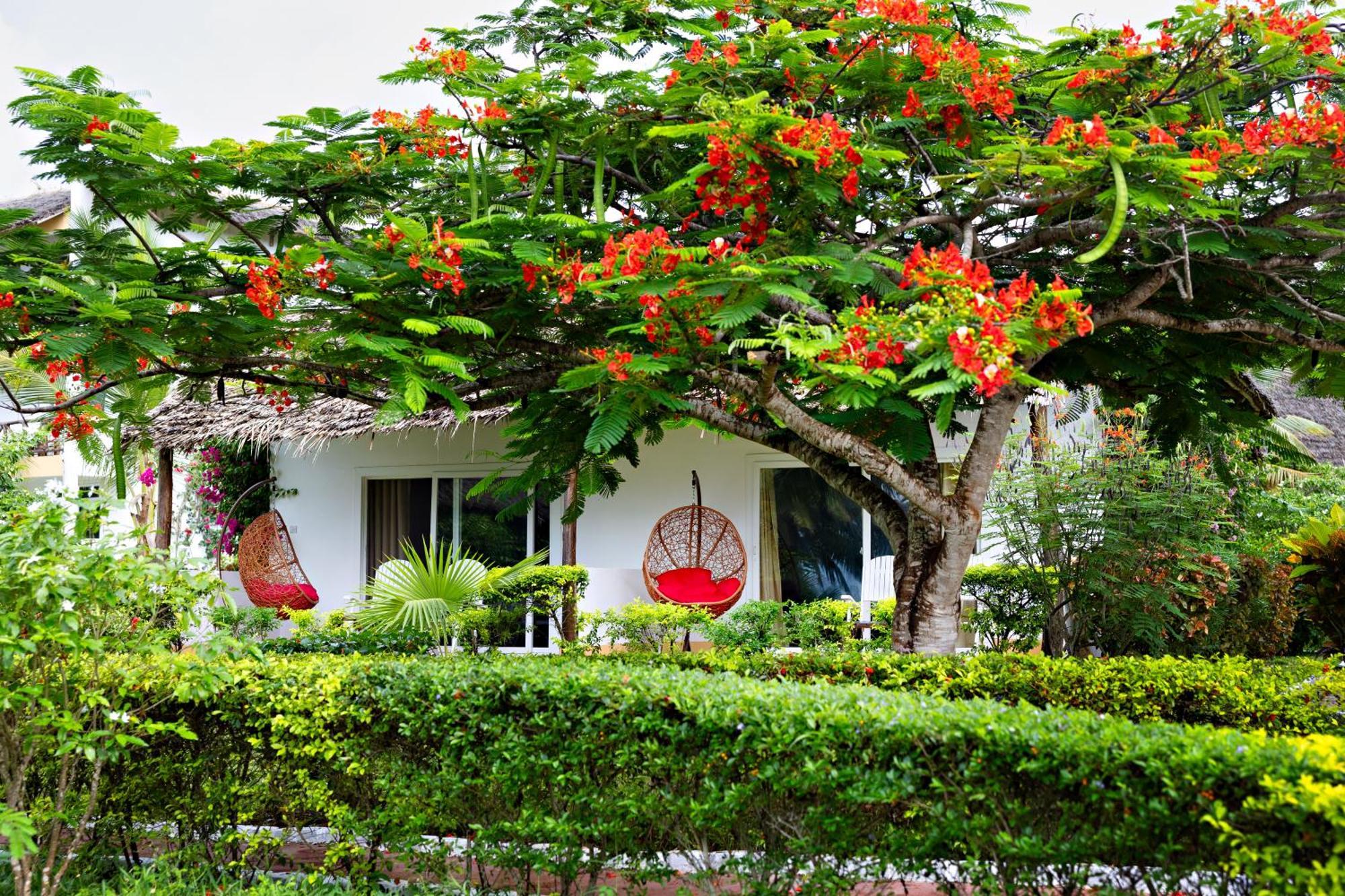 Tanzanite Beach Resort Nungwi Eksteriør billede